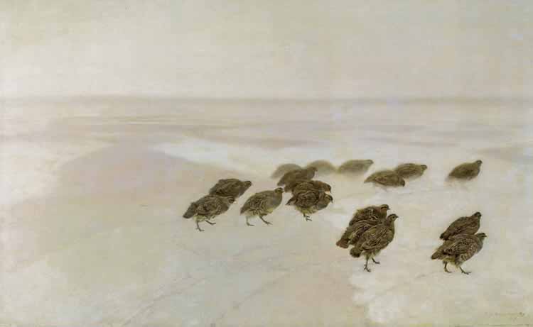 Partridges in snow